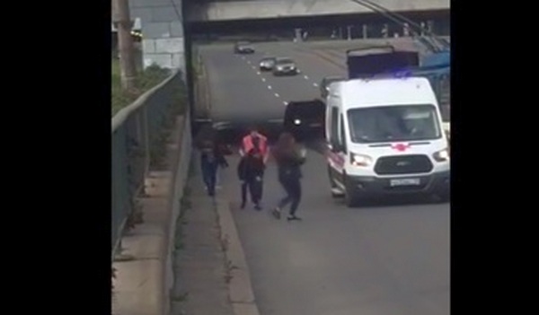 Добрина: Момичета спасиха изплашено коте на магистрала (ВИДЕО)