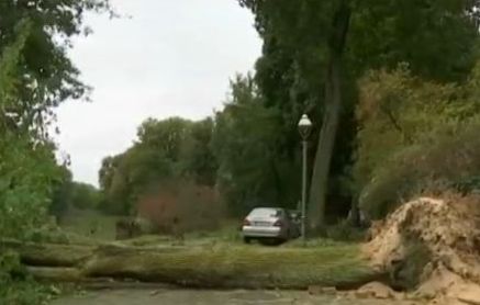 Буря отне живота на 7 души в Германия