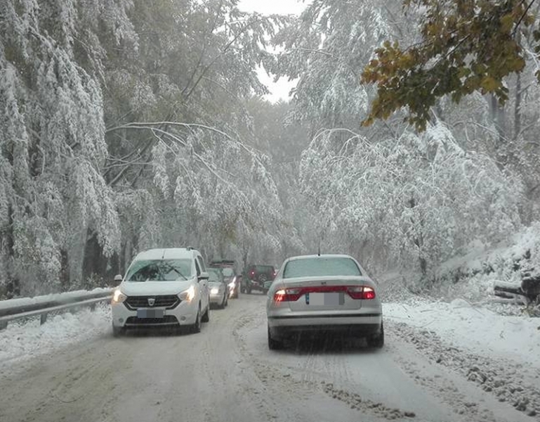 Сняг и паднали дървета блокираха пътища, вижте откъде не може да се мине (СНИМКА)