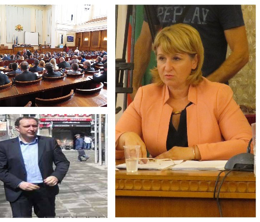 Без дебат: Депутатите избраха Диана Йорданова за зам.-председател на Комисията за финансов надзор