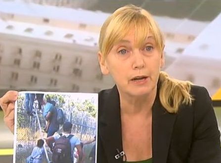 Елена Йончева: Оградата на границата се минава лесно, нужна е само една стълба (ВИДЕО)