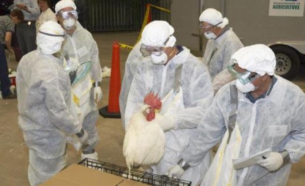 Ето как Областната администрация ще предотврати птичия грип в Бургаския регион