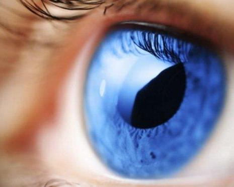 Епидемия от глаукома тресе България