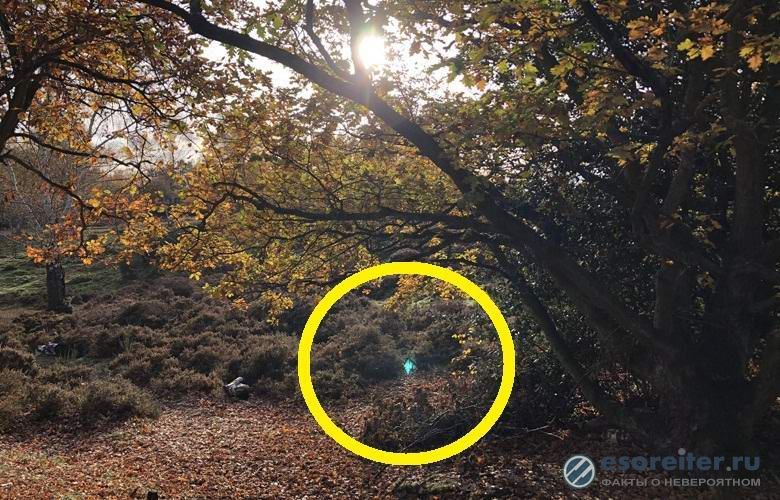 Мистерия: Мъж снима в гората портал към друго измерение