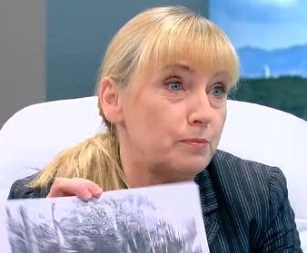 Елена Йончева: Граничната ограда в района на Малко Търново падна (ВИДЕО)