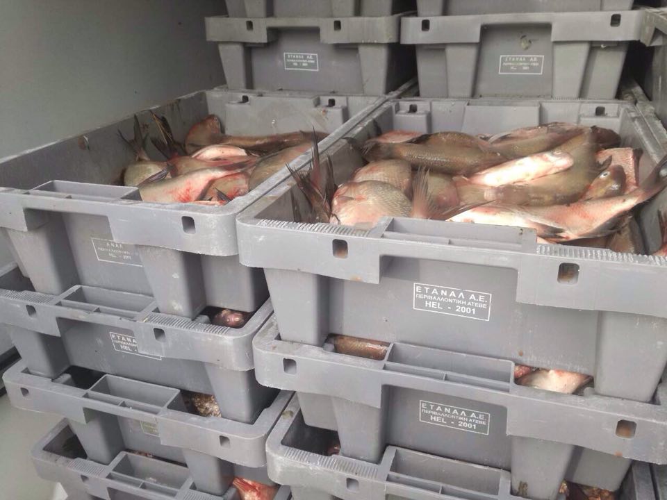 Полицаи конфискуваха 1,2 тона риба при акция в Айтос