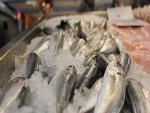 Данъчна лупа за продажбите на риба по Никулден