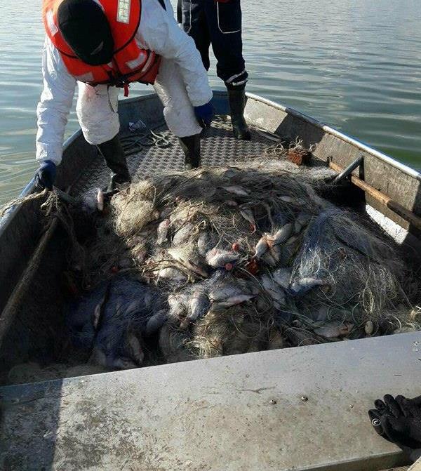 Спецакция! Маскирани ченгета удариха бракониер с 300 кг риба, раздават стоката на социално слаби бургазлии (СНИМКИ)