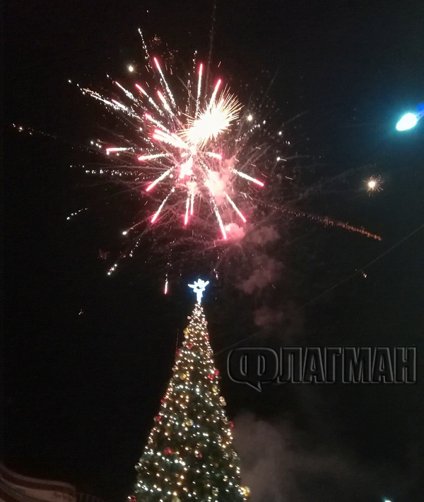 10-метрова елха грейна в сърцето на Приморско, кметът Димитър Германов и децата запалиха празничните светлини