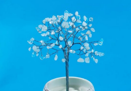 Уникално за Коледа! Направете си това магическо кристално дърво, което постепенно се покрива със сняг!