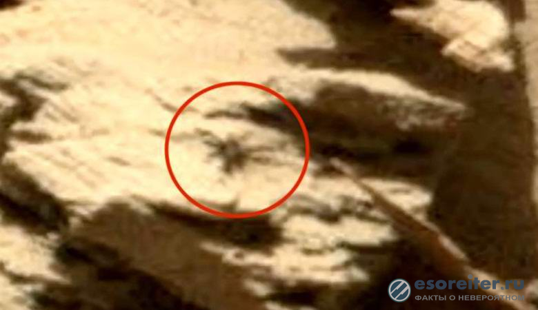 Огромен паяк откриха на Марс (ВИДЕО)