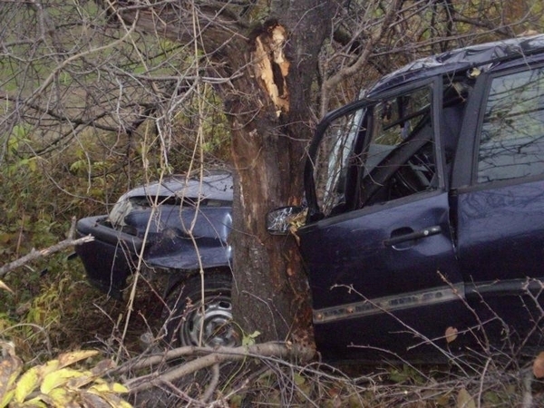 21-годишен младеж се заби в крайпътно дърво близо до Поморие