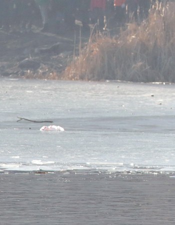 Езерото в "Сребърна" замръзна, ледът – тънък!