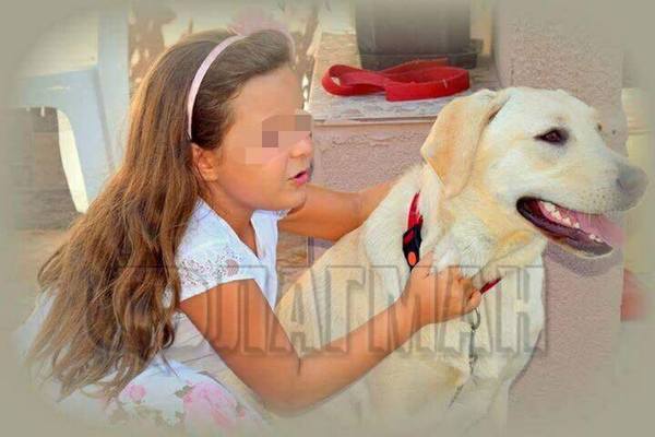 Страшна отрова, увита в лакомство, избива кучетата в бургаския кв.Сарафово за 15 минути