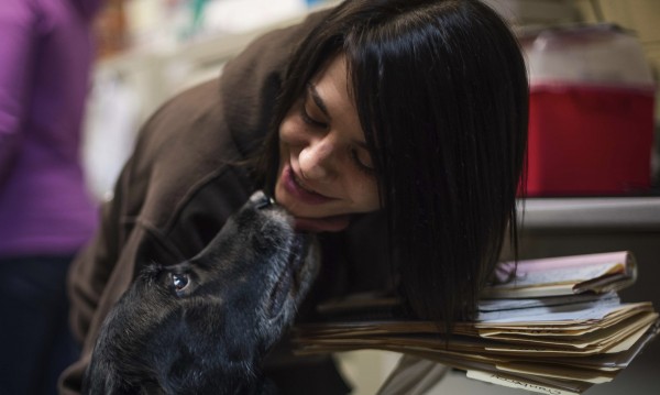 След 10 години: Семейство се събра с изчезналото си куче