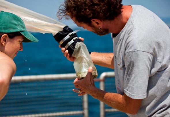 Изследване от Бургас до Калиакра показа: Морето бъка от пластмаса - чаши и опаковки на всяка крачка (СНИМКИ)