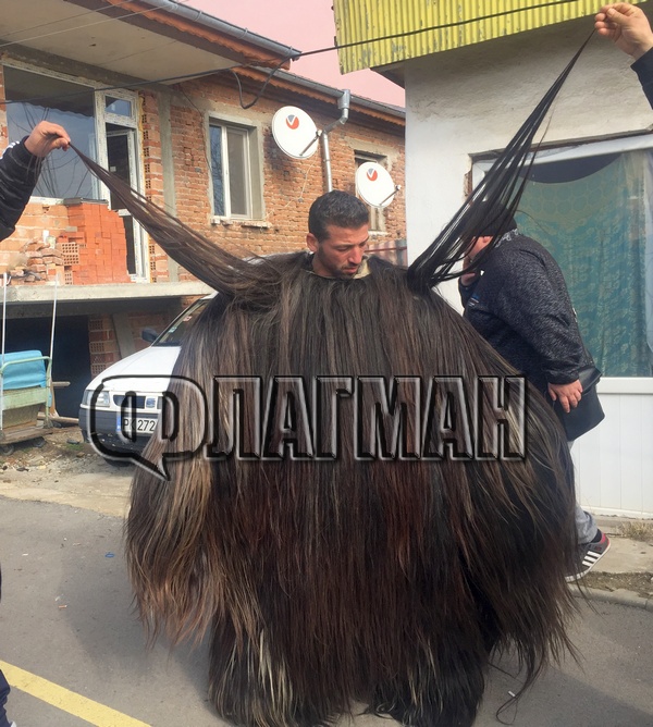 Нов рекорд: Кукерски костюм на бургазлия с най-дълъг косъм в България (СНИМКА)