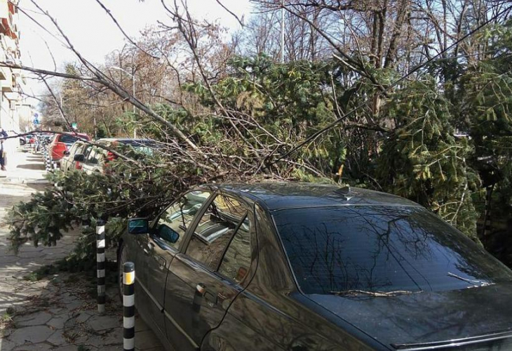 Задуха стихиен вятър, бута дървета, троши коли и супермаркети (СНИМКА)