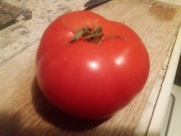 Българка отглежда домат в хладилника си 4 месеца