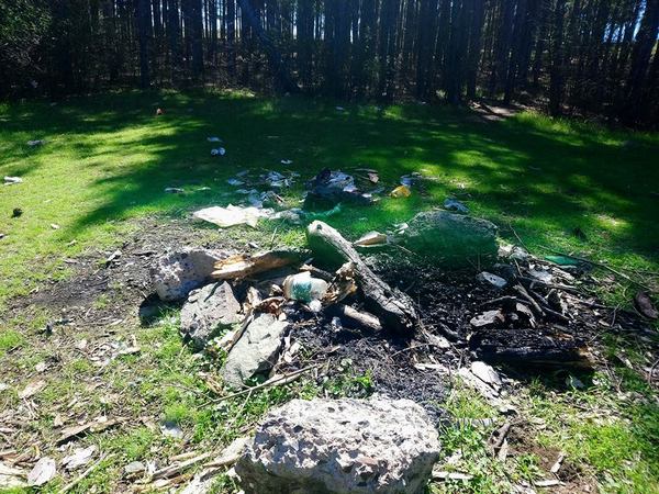 Айтозлии недоволстват от премахването на опасни дървета в "Славеева река", но замърсяват парка (СНИМКИ)