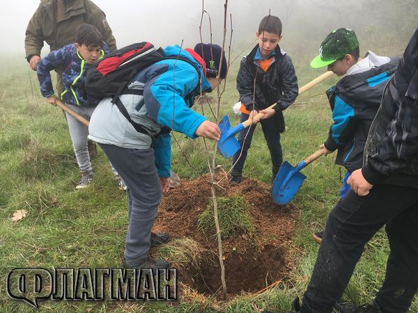 Да бъдеш лесовъд за един ден! Бургаски ученици засадиха 12 фиданки край местността Бегликташ в Седмицата на гората (СНИМКИ)