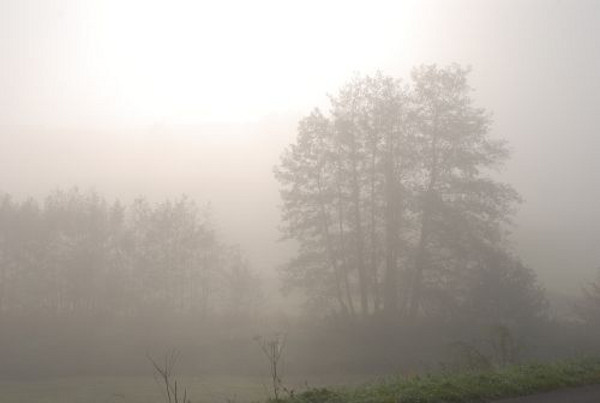 Синоптиците с лоша новина: мъгли и ниски температури и в неделя по Черноморието