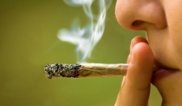 Пушачите на марихуана правят с до 20% повече секс на година