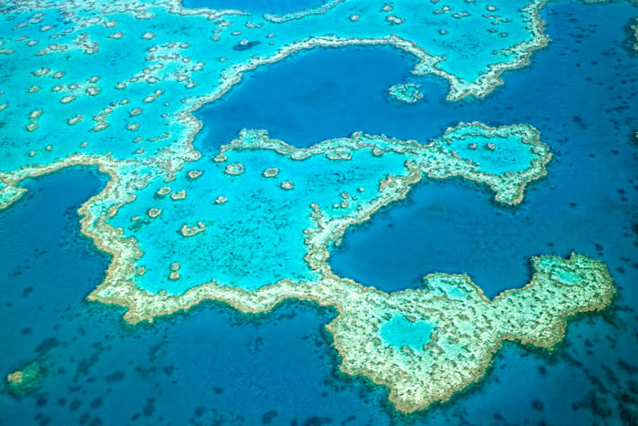 Австралия ще спасява Големия коралов риф. Дава 380 млн.долара