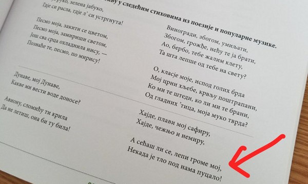 В Сърбия: Текст на песен на Цеца – в учебник