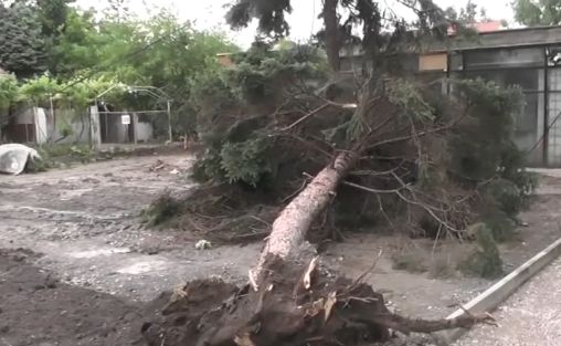 Остава в сила бедственото положение в Бяла Слатина