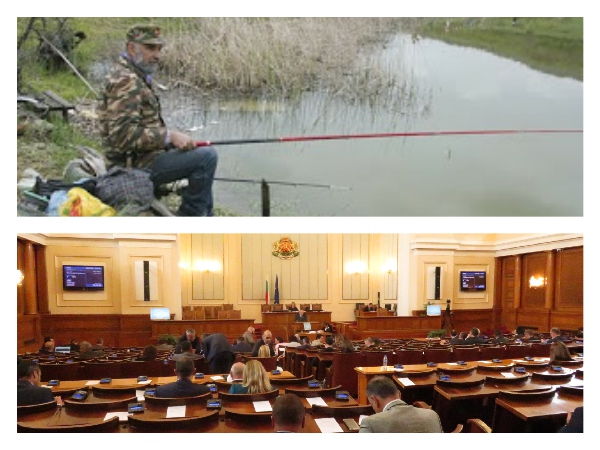Нов закон: Въдичарите ще полагат държавен изпит, за да могат да ловят риба