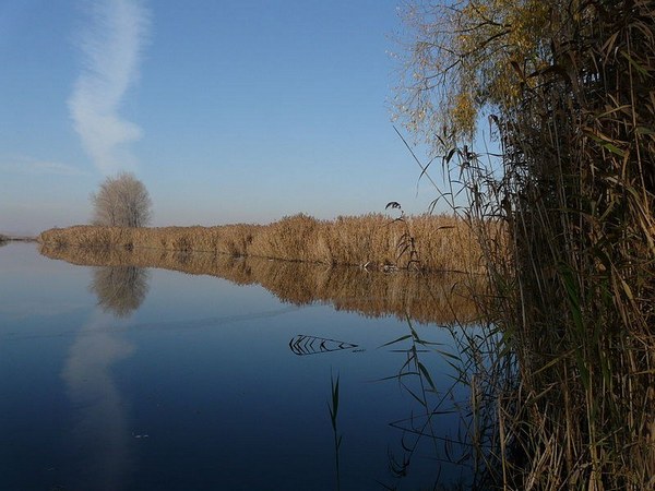 16-годишно момче се удави във водоем