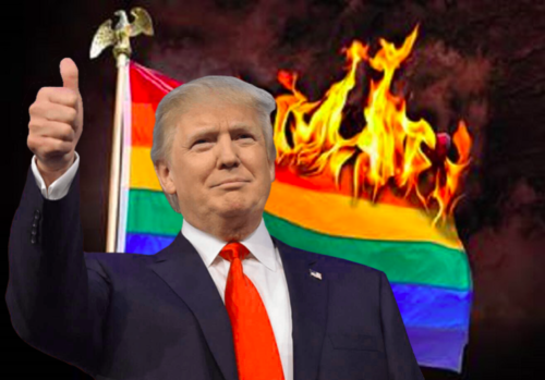 Браво! Доналд Тръмп премахна месеца на гейовете в САЩ