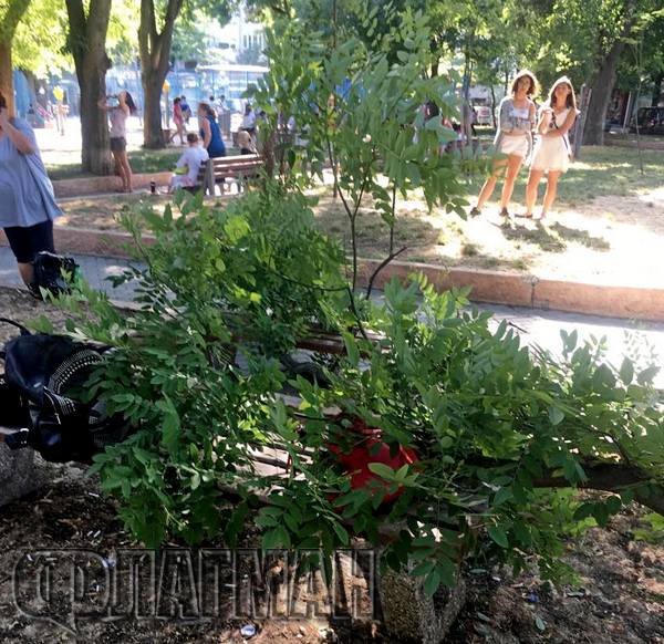 На косъм от голяма трагедия в Бургас! Клон се стовари върху пейка в Борисовата градина