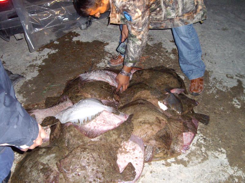 ИАРА спипа поморийски бракониери с 400 кг калкан