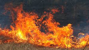 Пожар изпепели пшенична нива и тревни площи край „Капчето” в Бургас