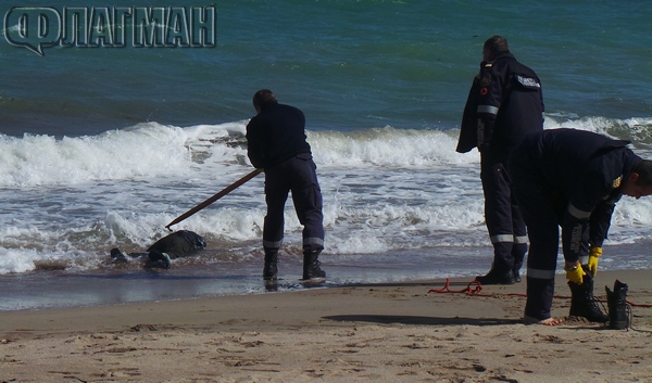 Черната серия продължава! 31-годишен мъж се удави край Синеморец