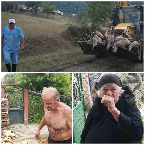 Драмата в с. Кости е жестока! За втори път избиват животните на фермера Атанас, съсипан е