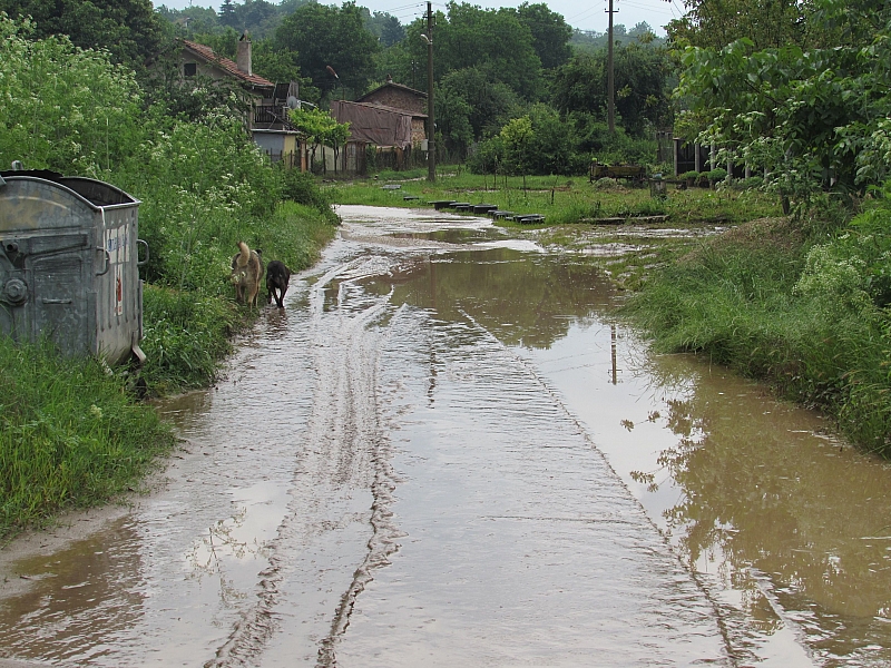 Дадоха само вода на наводнените семейства в Роман