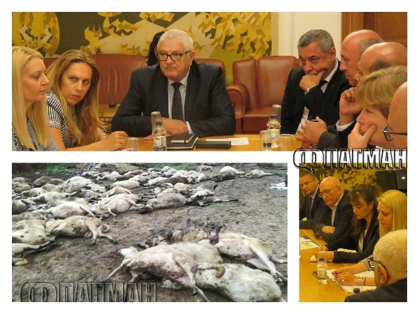 Експерти пред депутати и вицепремиера Симеонов: Евтаназията на животни в село Кости е без алтернатива