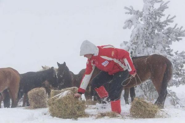 21 хил. лв. глоби за Пищалов, изоставил 70 коня в Осоговския балкан