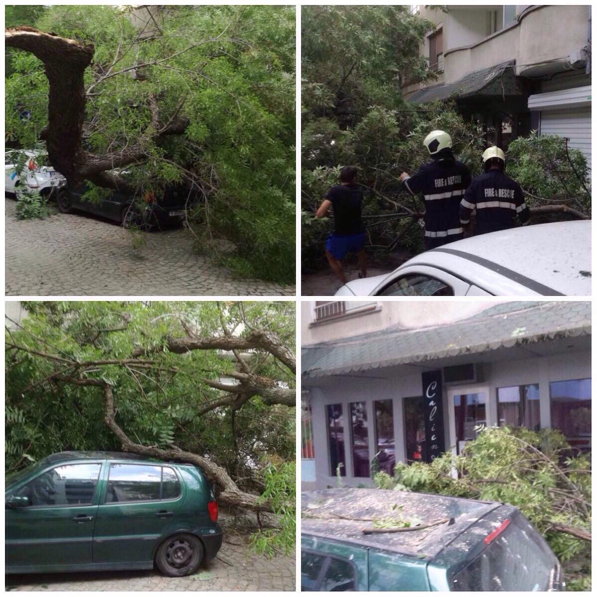Нов ужас в Бургас! Огромно дърво падна върху кола, едва не уби две жени