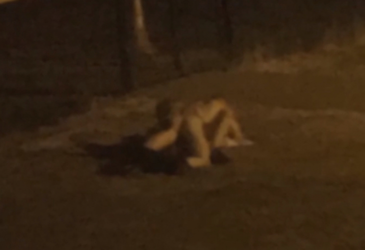 Шокирана очевидка засне двойка, правеща секс в училищен двор (ВИДЕО 18+)