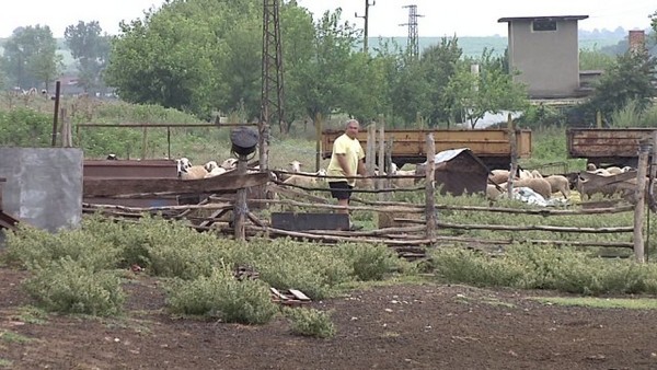 Търсят чума в 36 населени места около огнището в Ямболско