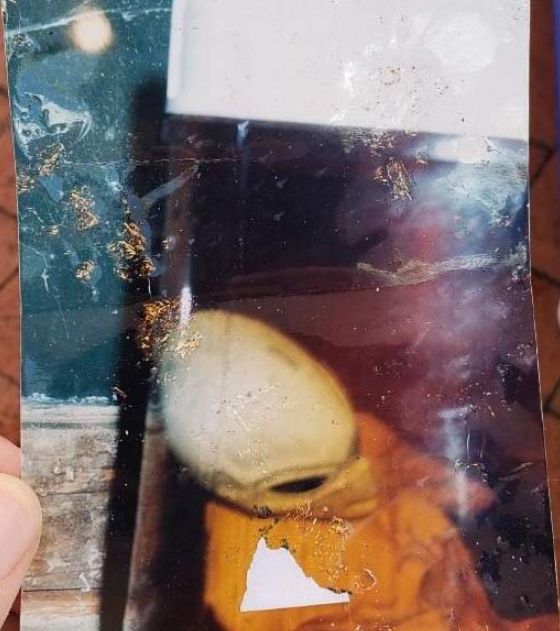 Мистерия: Снимка на извънземно от миналия век се появи в Reddit