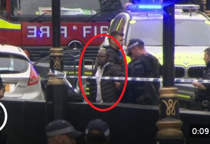 Чернокож шофьор забил колата си в оградите на британския парламент (СНИМКИ/ВИДЕО)