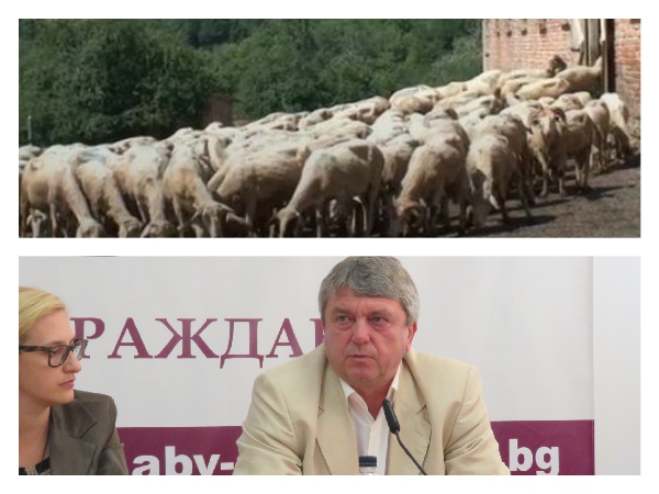 Конспирация: Няма умряло от чума животно, а БАБХ не казва резултатите от вторите проби