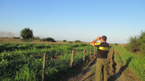 По-голямата част от оградата срещу диви прасета е готова