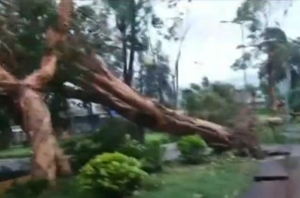 Тайфун взе 64 жертви във Филипините