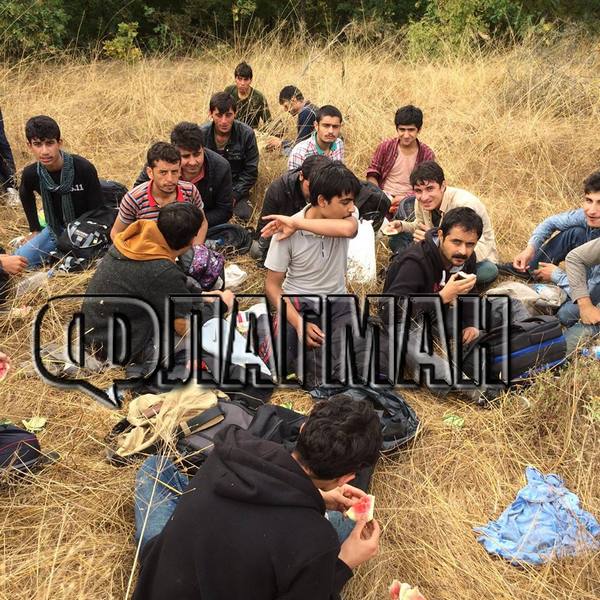 Незаконни мигранти пак атакуват границата ни! Над 220 нарушители са заловени за 40 дни